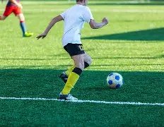 届上海电影,节金爵奖公,东北虎,韦德体育平台,韦德体育官方网站,韦德体育登录入口,韦德体育app下载