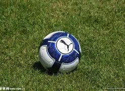 韦德体育,资讯,韦德体育平台,韦德体育平台,韦德体育官方网站,韦德体育登录入口,韦德体育app下载