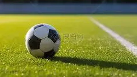 韦德体育 产品 113227 e79