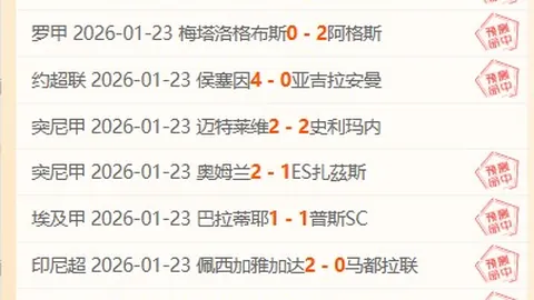 “一带一路”背景下中匈合作再攀高峰（前线报道）