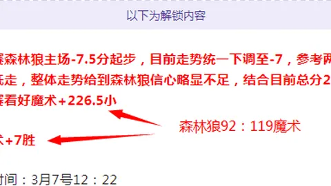 《掘金对决活塞，篮球盛宴深度解析，不容错过的精彩节奏！》